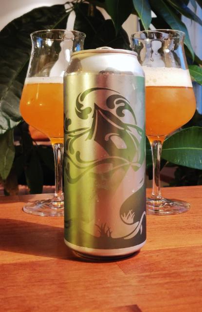 Dear Washington 6.8%, Tree House Brewing Company, United States