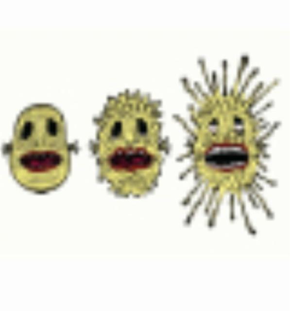 Death Tripper 6.7%, Tired Hands Brewing Company, United States