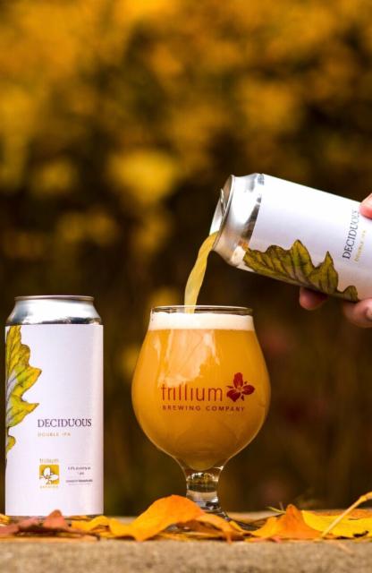 Deciduous (2019) 8.6%, Trillium Brewing Company, United States