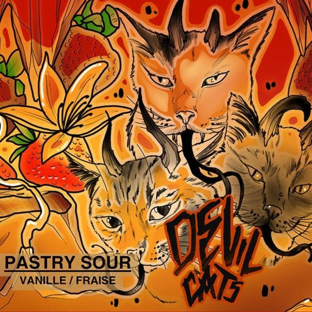 Devil Cats 5.0%, Rodil Microbrasserie, France