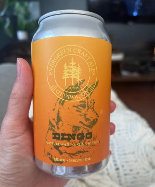 Dingo, Evergreen Craft Ales