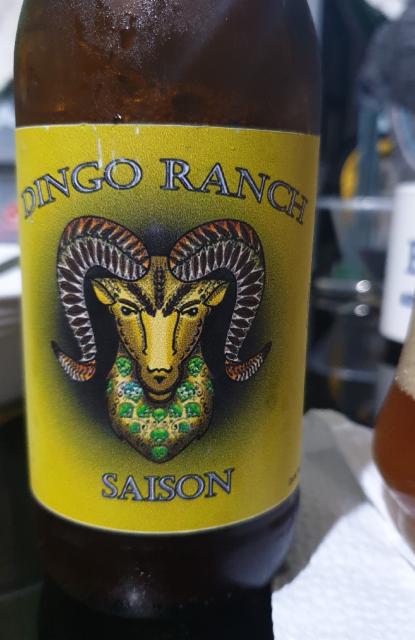 dingo ranch 7.7%, Typsy Rams, Philippines