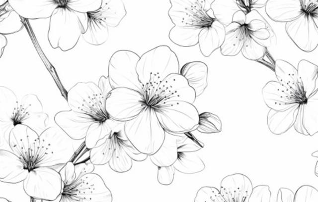 DIPA Strata / Mosaic 8.0%, Brasserie Popihn, France