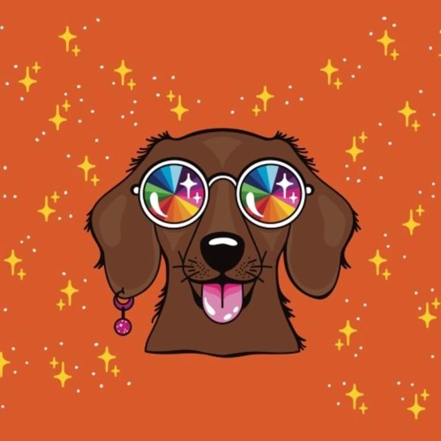 Disco Diva 5.5%, Les Intenables - Craft Beer, France