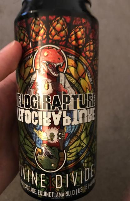 Velocirapture Divine | Divide West Coast IPA 6.5%, Staggeringly Good Beer, England