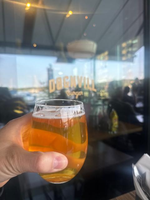 Dognville Pale Ale 4.8%, Monkey Brew, Norway