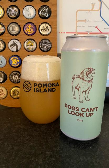 Dogs Can't Look Up 5.3%, Pomona Island Brew Co, England