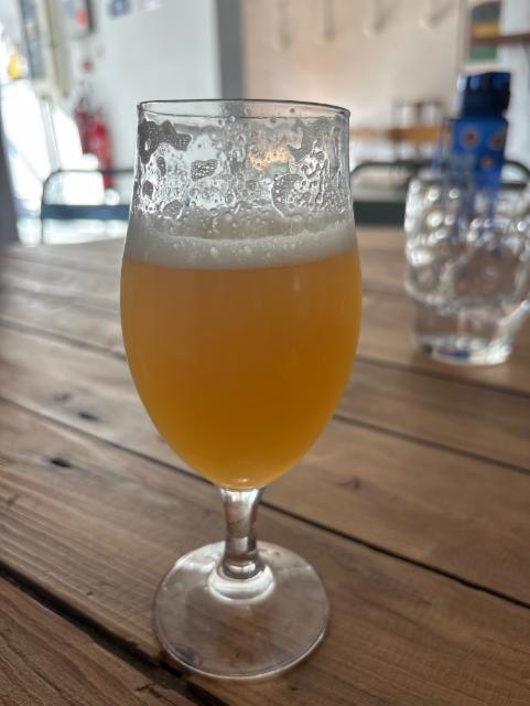 Dominion, Oso Brew Co.