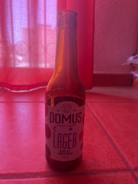 DOMUS Lager 4.8%, Domus, Spain