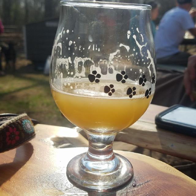 I Don't Like Mondays 7.5%, Fat Orange Cat Brew Co., United States