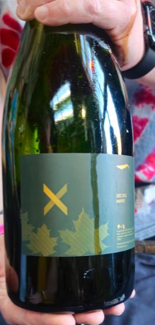Double Barrel BQE 2026 Aged in Nocino Barrels, Finback Brewery