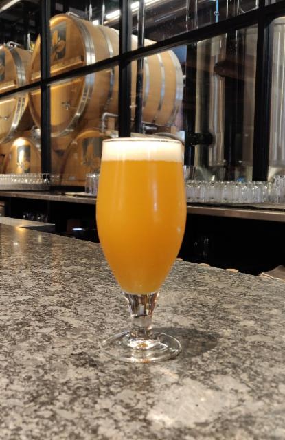 Double Dry Hopped Pittsburgh Street 7.2%, Trillium Brewing Company, United States