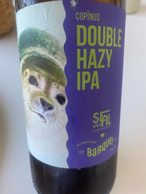 Double Hazy Ipa 7.5%, Barque !, France