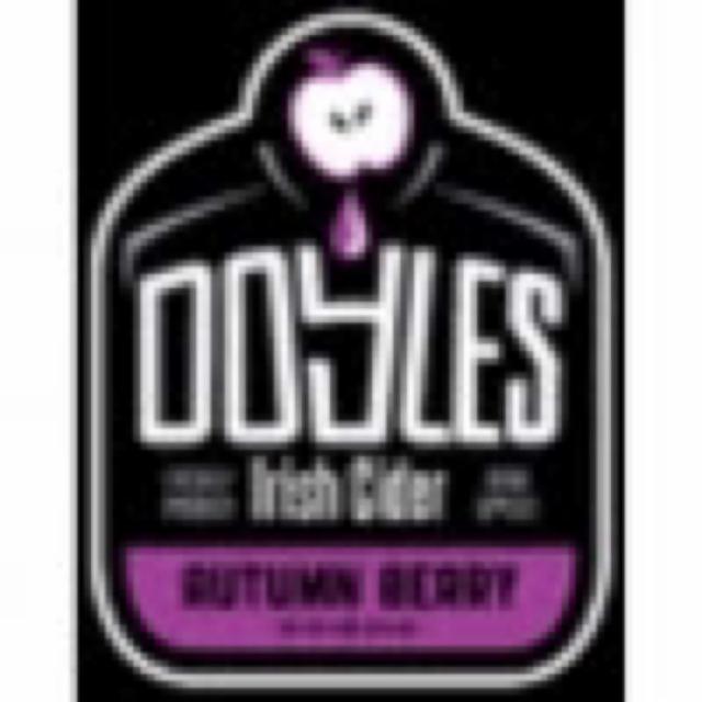 Doyles Autumn berry 4.5%, Armagh Cider Company, England