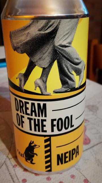 dream of the fool 6.5%, Birrificio Wild racoon, Italy