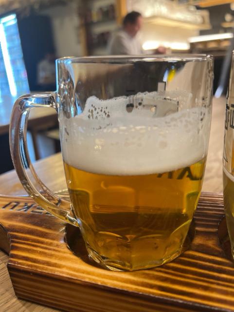 Drevak 4.8%, Pivovar Volt, Czech Republic