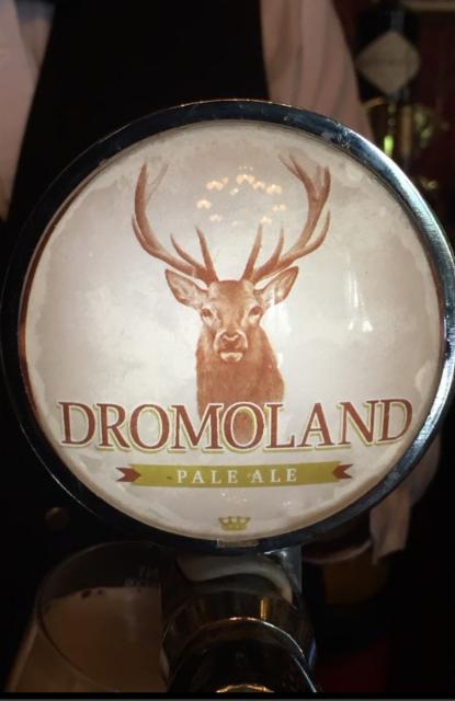 Dromoland 5.0%, Treaty City Brewery, Ireland
