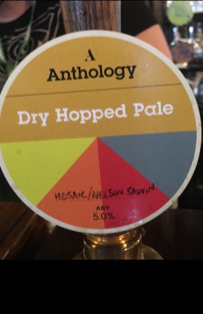 Dry Hopped Pale - Mosaic/Nelson Sauvin 5.0%, Anthology Brewing Company, England