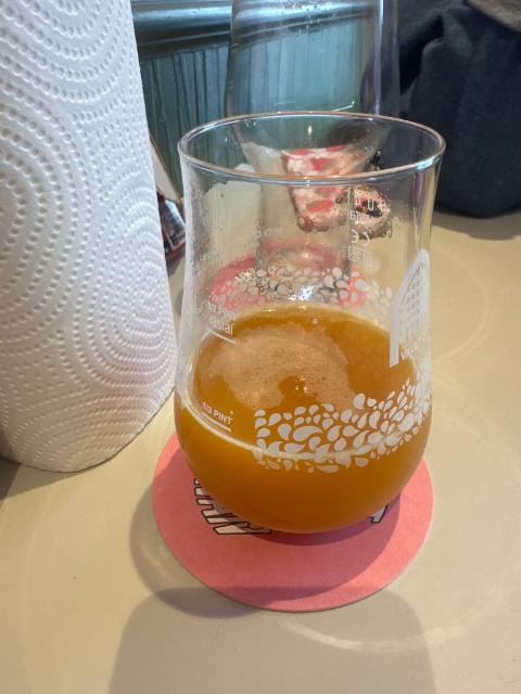 Dumb Fruit 1, Evil Twin Brewing