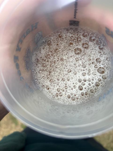 Eagle, Crafty Little Brewery