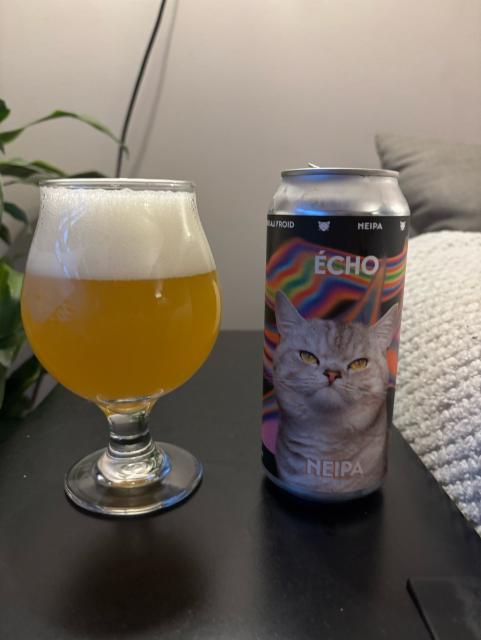 Écho 7.0%, Noctem Artisans Brasseurs, Canada