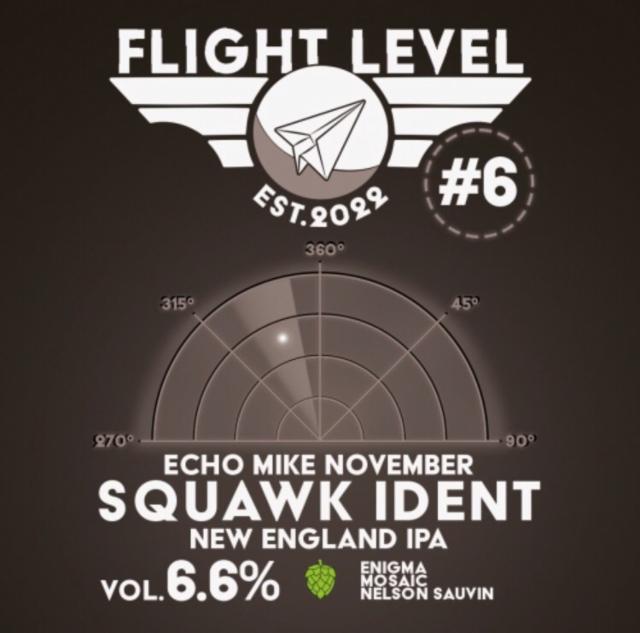 Echo Mike November Squawk Ident #6 6.6%, Flight Level Brewing, Finland