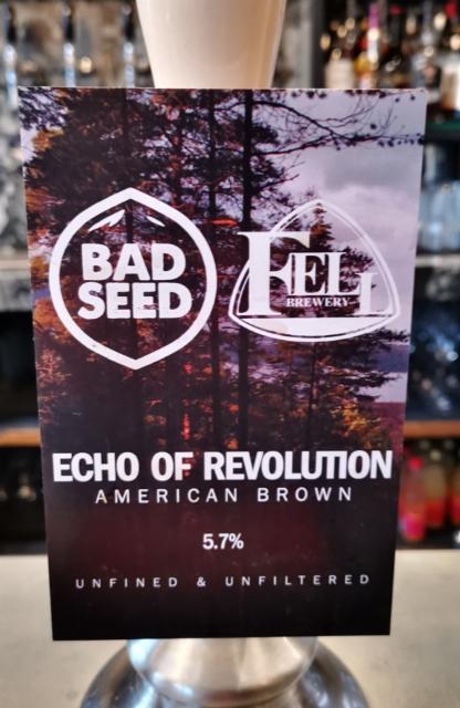 Echo Of Revolution 5.7%, Bad Seed Brewery, England