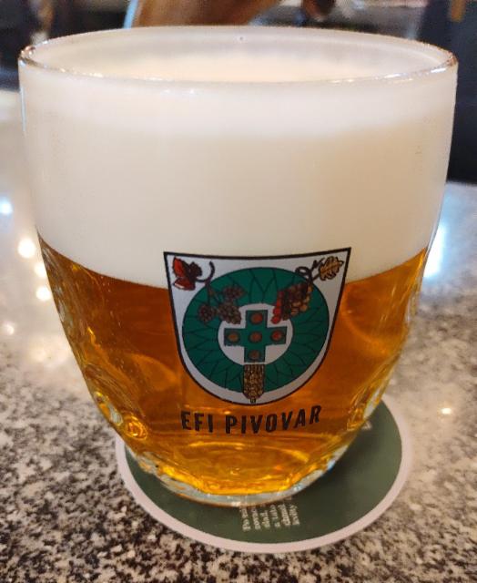 efi dvanáctka, EFI Pivovar