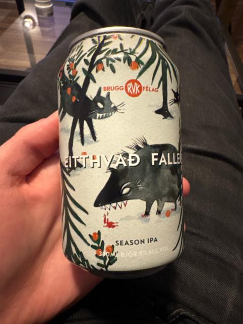 Eitthvað fallegt 5.0%, Reykjavík bruggfélag, Iceland