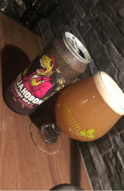 Ekuanodon Vermont Edition 7.4%, Staggeringly Good Beer, England