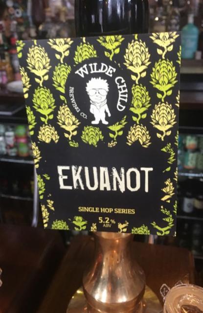 Single Hop Series: Ekuanot 5.2%, Wilde Child Brewing Co., England