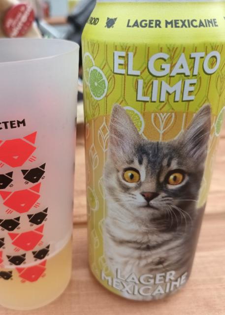 el gato lime 4.5%, Noctem Artisans Brasseurs, Canada