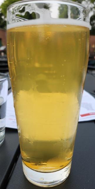 El tejon, South County Brewing Company