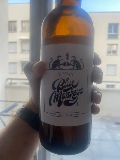 Electric Blue Monkey Saison DH Nelson 6.6%, Electric Blue Monkeys, France