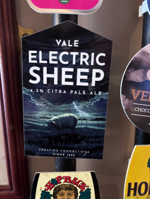 Electric Sheep 4.3%, Vale Brewery, England