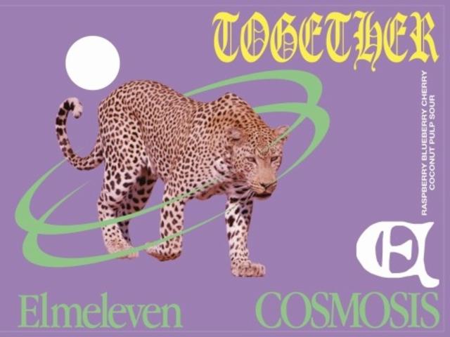 Elmeleven Cosmosis, Elmeleven