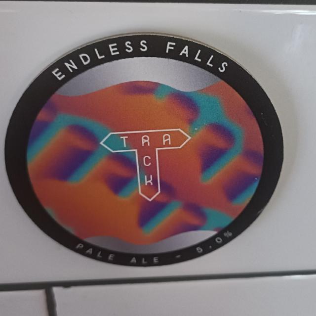 endless falls 5.0%, Track Brewing Co., England