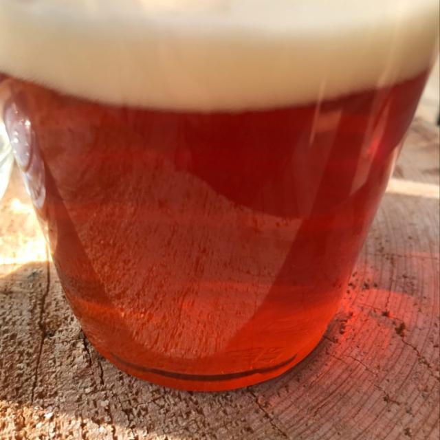 English Pale Ale 5.2%, Sonnisaari Panimo, Finland