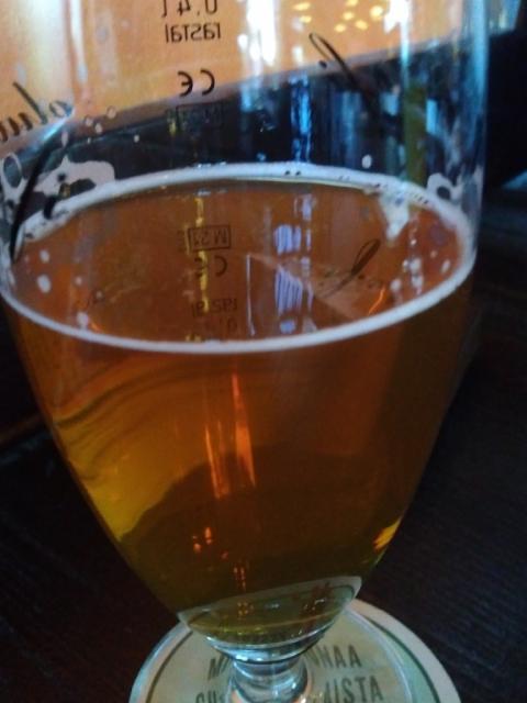 Malmgård English Pale Ale 5.0%, Malmgårdin Panimo, Finland