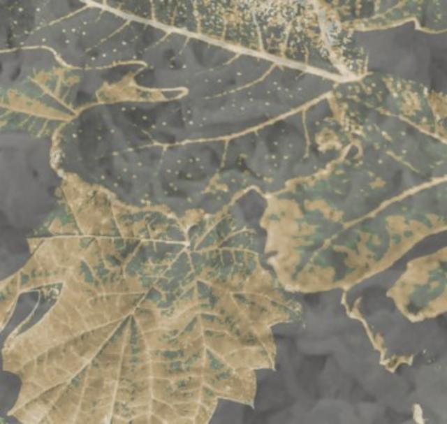 Es Garde Figue 7.8%, Brasserie La Malpolon, France