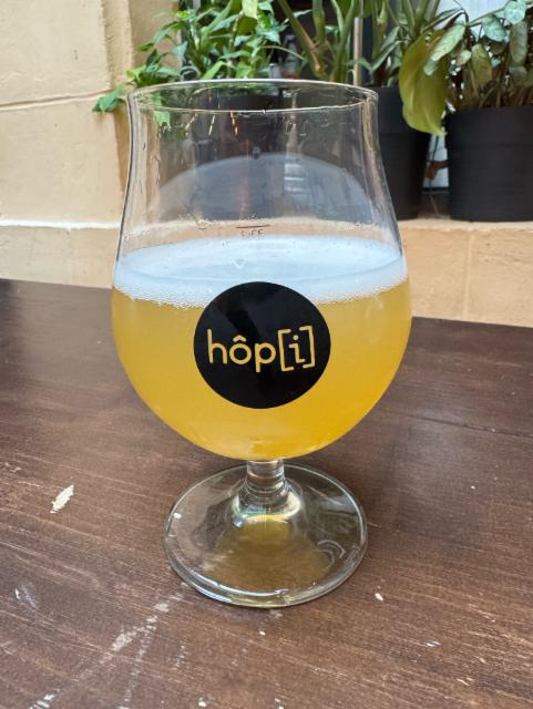 Escapade Carolorégienne, Brasserie Hôp[i] (Hôpi)