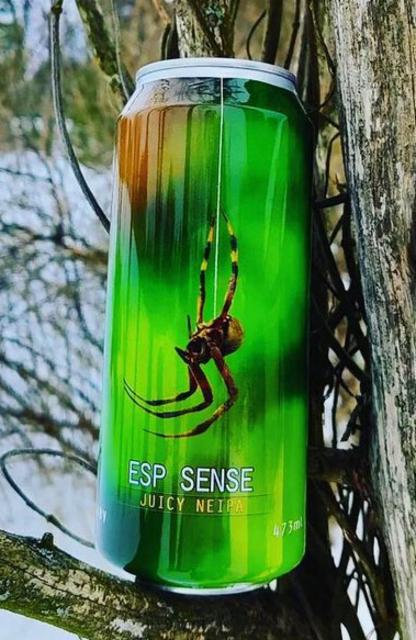 ESP Sense 7.0%, Spartacus Brewing, Brazil