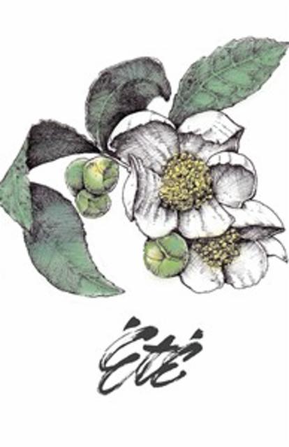 été 5.4%, Mabrasserie, Canada