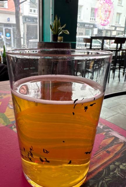 Eureka Protocol 5.0%, Salama Brewing Company, Finland