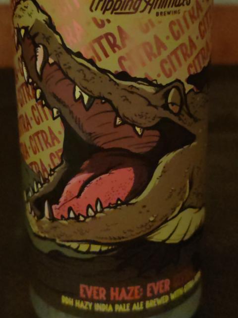 Ever Haze: Ever Citra 7.0%, Tripping Animals Brewing Co., United States