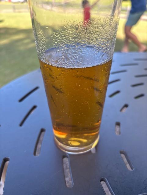 Evergladeslager, CootharaBAR & Bistro