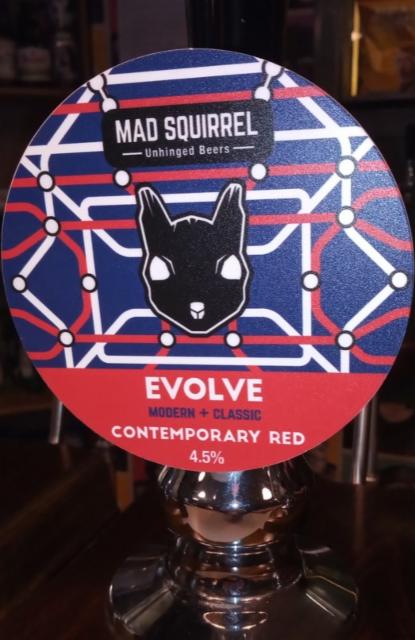 Evolve 4.5%, Mad Squirrel Brewing, England
