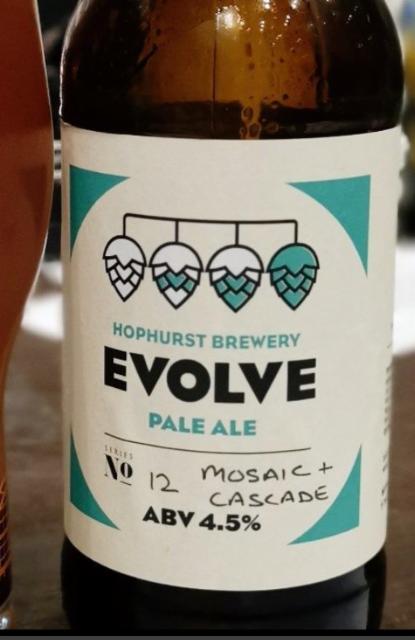 Evolve No.12 Mosaic Cascade 4.5%, Hophurst Brewery, England