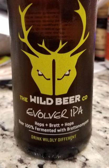 Evolver IPA 5.8%, Wild Beer, England