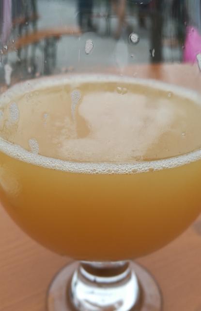 Exchange Student 8.5%, Trillium Brewing Company, United States